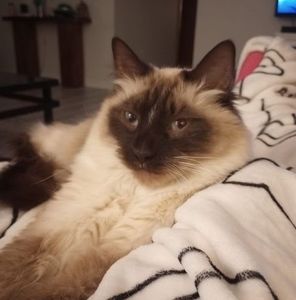 Meet your Posher, Joanne